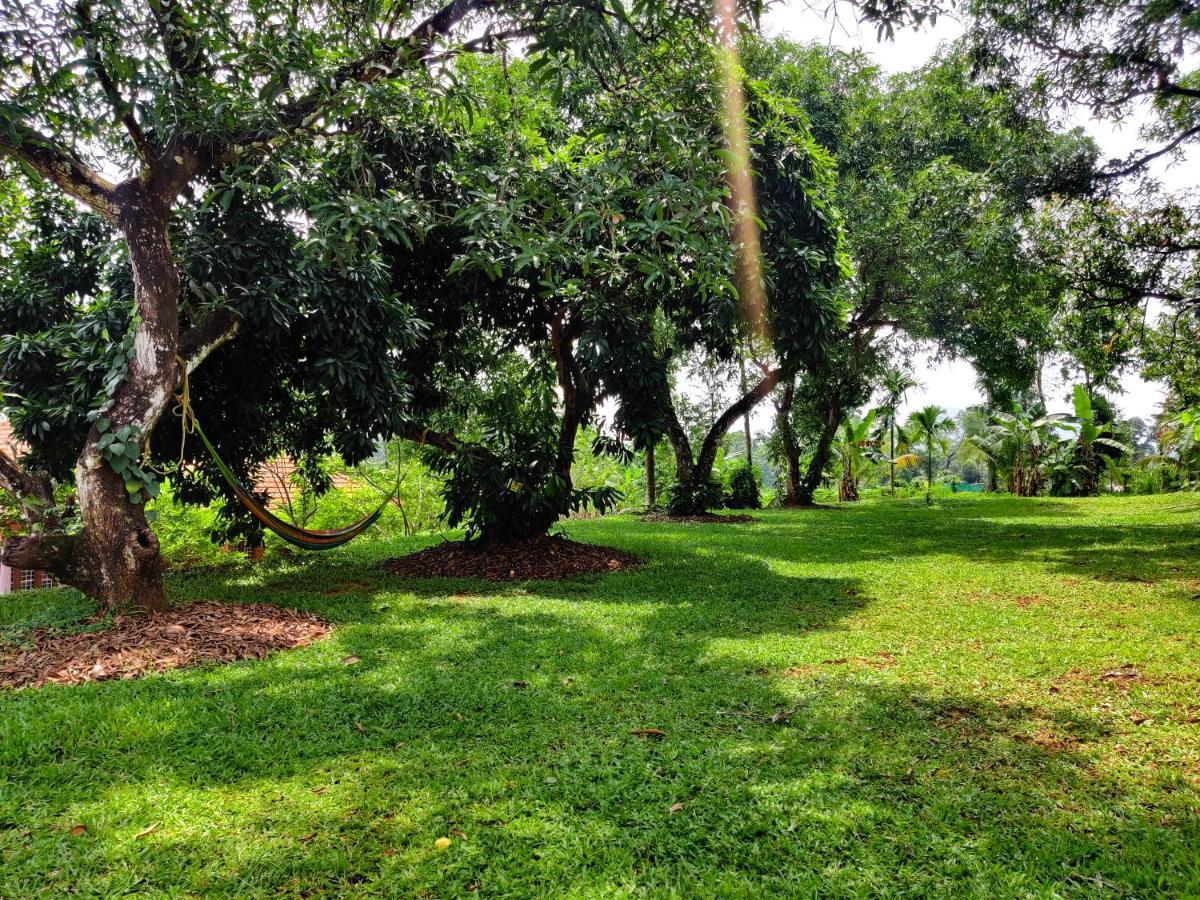 Carmel Tourism Village Kotamangalam Exterior photo